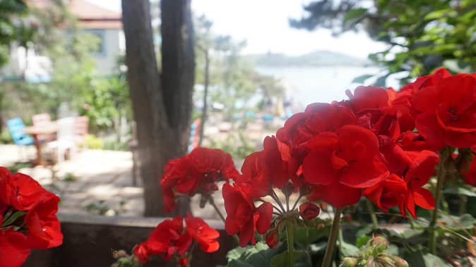 Pyrgos Otel